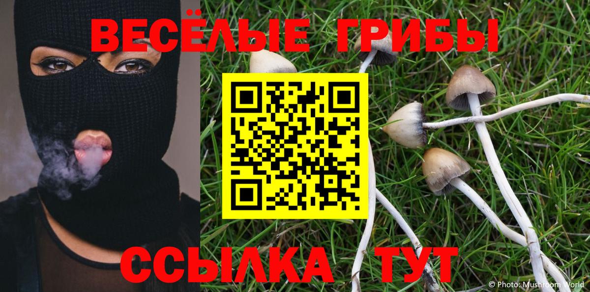 Галлюциногенные грибы прущие грибы Ессентуки