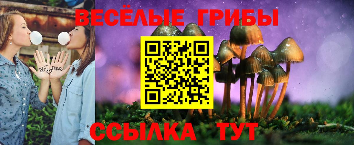 Псилоцибиновые грибы мицелий  где продают наркотики  Вход с VPN  Ессентуки  Галлюциногенные грибы Magic Shrooms 